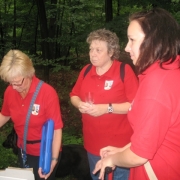 hunnenlager2012_20120903_1727828279