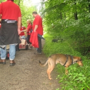 hunnenlager2012_20120903_2006024276