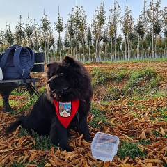 Oktobertour_2022_043