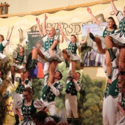 prunksitzung_2017_20170120_1933927185