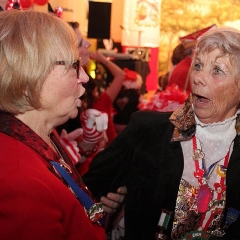 Prunksitzung_2018_575