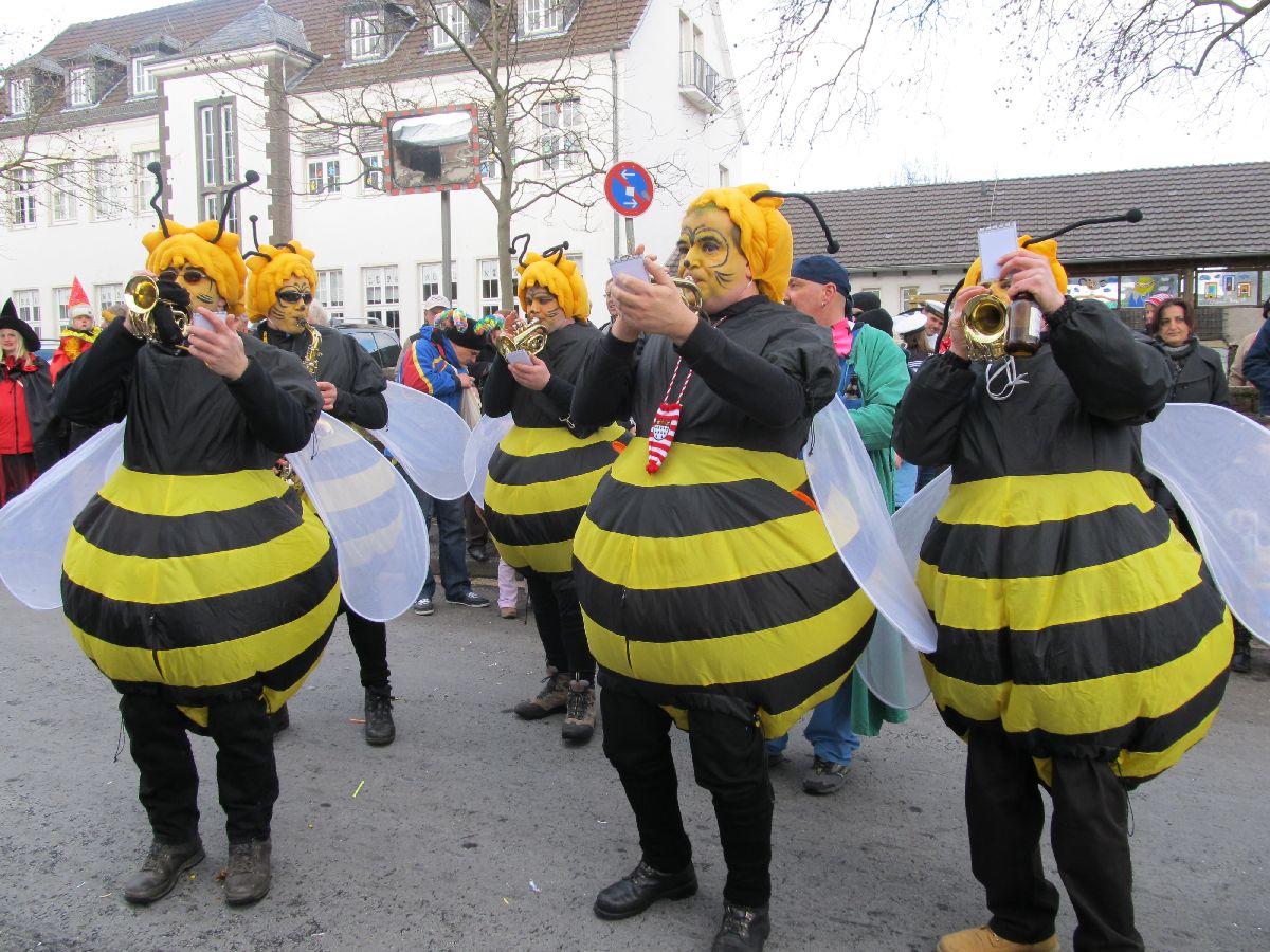 rosenmontagszug_20120221_1201636460