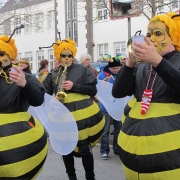 rosenmontagszug_20120221_1144542931