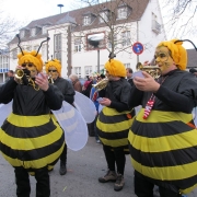 rosenmontagszug_20120221_1418351374