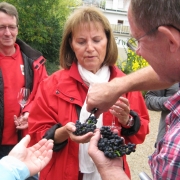 weinfest_20131102_2032345052